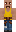 skin of a player
