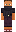 skin of a player