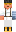 skin of a player