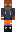 skin of a player