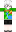 skin of a player