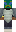 skin of a player
