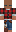 skin of a player