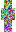 skin of a player