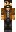 skin of a player