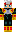 skin of a player