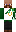 skin of a player