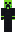 skin of a player