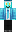 skin of a player