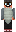 skin of a player