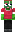 skin of a player