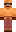 skin of a player