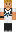 skin of a player