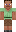 skin of a player