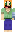 skin of a player