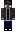skin of a player