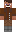 skin of a player