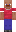 skin of a player