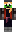 skin of a player