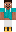 skin of a player
