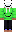 skin of a player