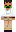 skin of a player
