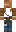 skin of a player