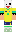 skin of a player