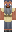skin of a player