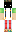 skin of a player
