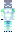 skin of a player