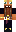 skin of a player