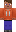 skin of a player
