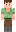 skin of a player