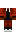skin of a player