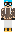 skin of a player