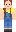 skin of a player