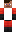skin of a player