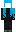 skin of a player