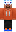 skin of a player
