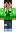 skin of a player