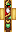 skin of a player