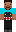 skin of a player