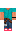 skin of a player