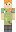 skin of a player