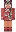 skin of a player