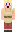 skin of a player