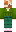 skin of a player