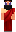 skin of a player