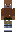 skin of a player